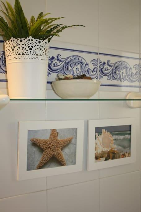 Appartement Seafront Location B3